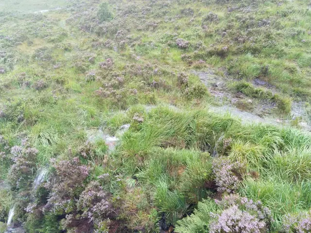 Highland-Touren 2019 – bild 2